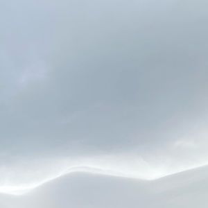 Meet your Posher, Ylicia